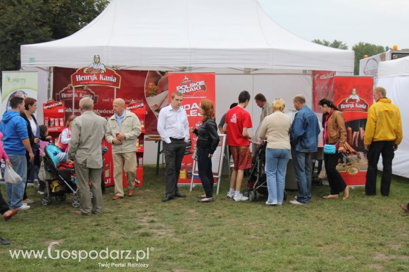 Świętomięs Polski w Chorzowie