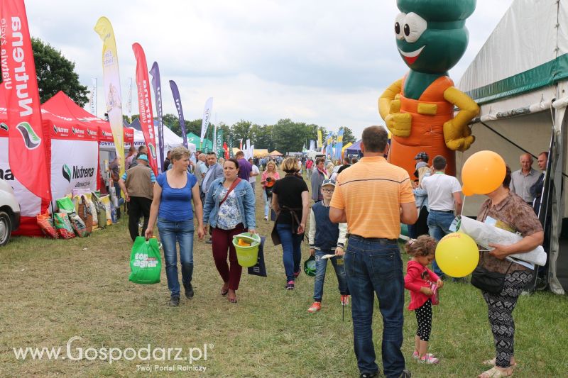 Regionalna Wystawa Zwierząt Hodowlanych i Dni z Doradztwem Rolniczym w Szepietowie 2017