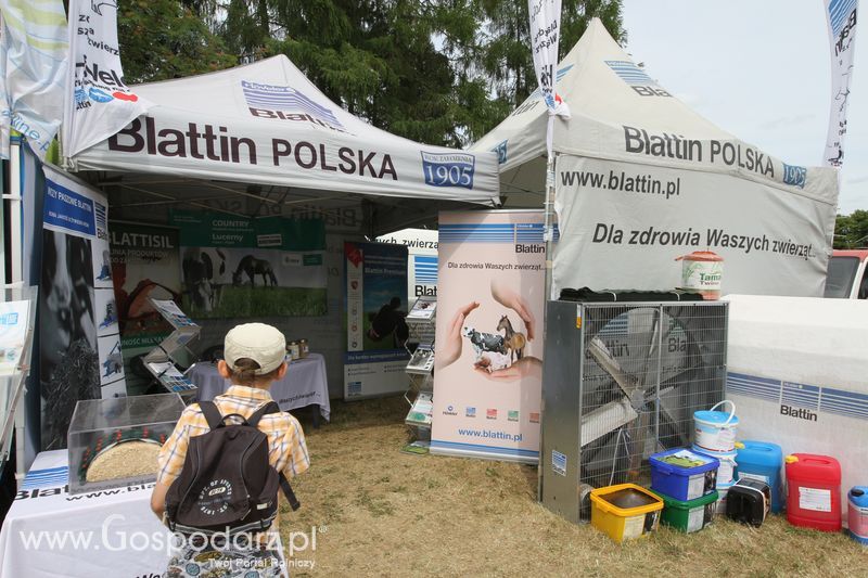 Zielone AGRO SHOW - Polskie Zboża 2015 w Sielinku