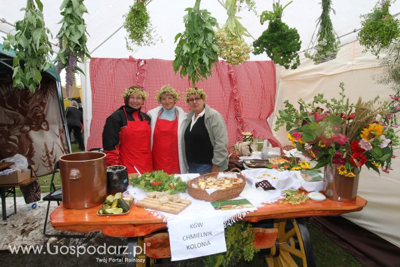 Festiwal Wieprzowiny w Bełżycach - niedziela