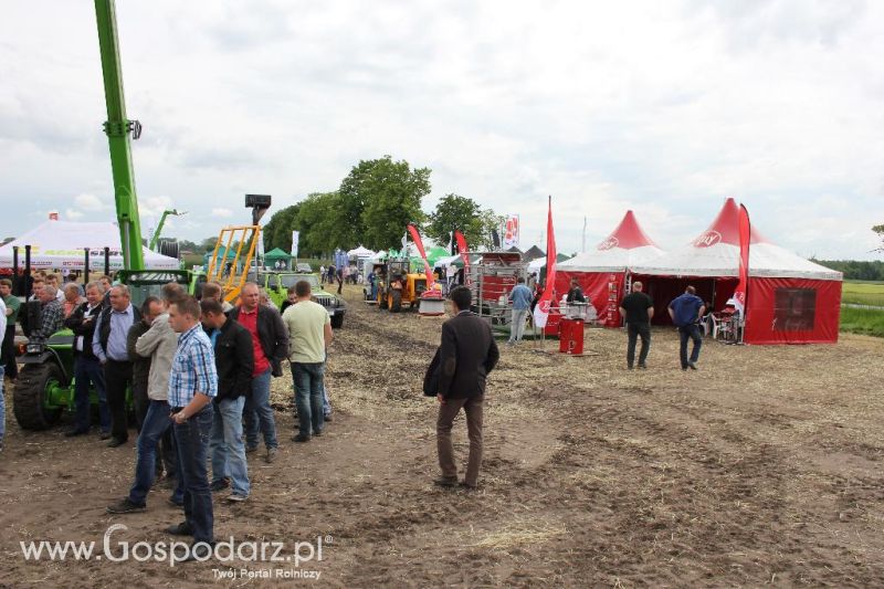 Pokazy polowe Romanów k/Krotoszyna