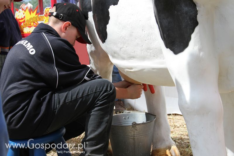 Majówka z Zetorem w Brzeziu