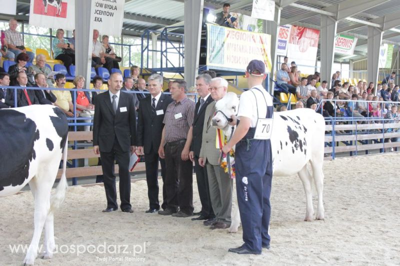 Bydło - Szepietowo 2012 XIX Regionalna Wystawa Zwierząt Hodowlanych