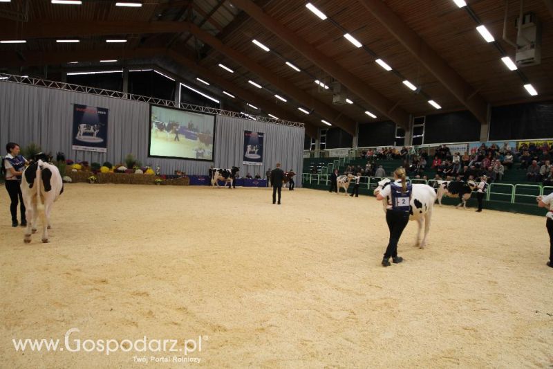 Wystawa  Blickpunkt Rind 2013 w miejscowości Paaren/Glien (Niemcy)