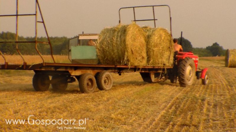Zbiór Słomy 2013