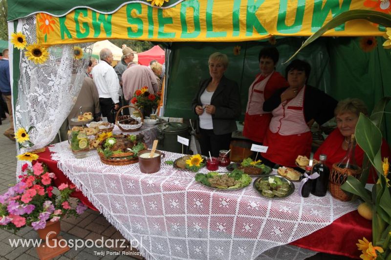 VIII Ogólnopolski Festiwal Pasztetników i Potraw z Gęsi