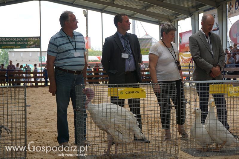 Wystawa zwierząt w Szepietowie
