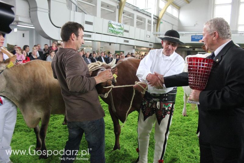 XXVI Krajowa Wystawa Zwierząt Hodowlanych - sobota i niedziela