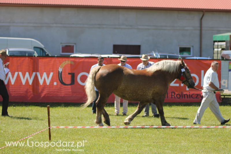 Wystawa zwierząt w Szepietowie