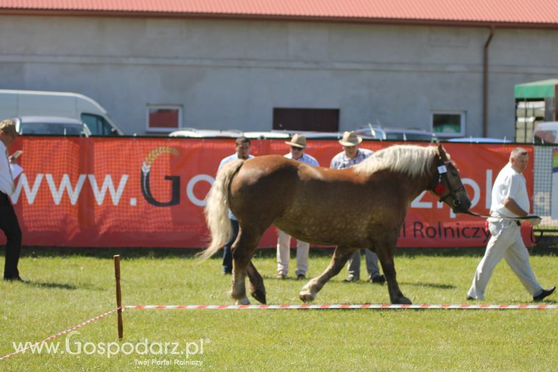 Wystawa zwierząt w Szepietowie