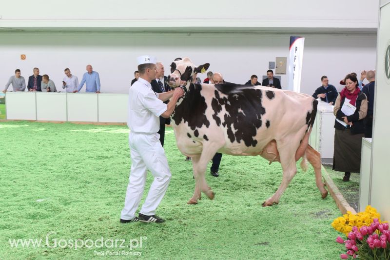 Krajowa Wystawa Zwierząt Hodowlanych w Poznaniu 2017 (piątek, 5 maja)