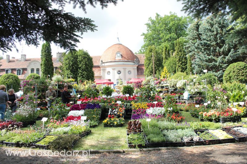 XX Targi Rolnicze Lubniewice 