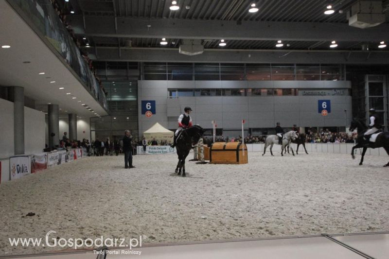 CAVALIADA 2013 w Poznaniu