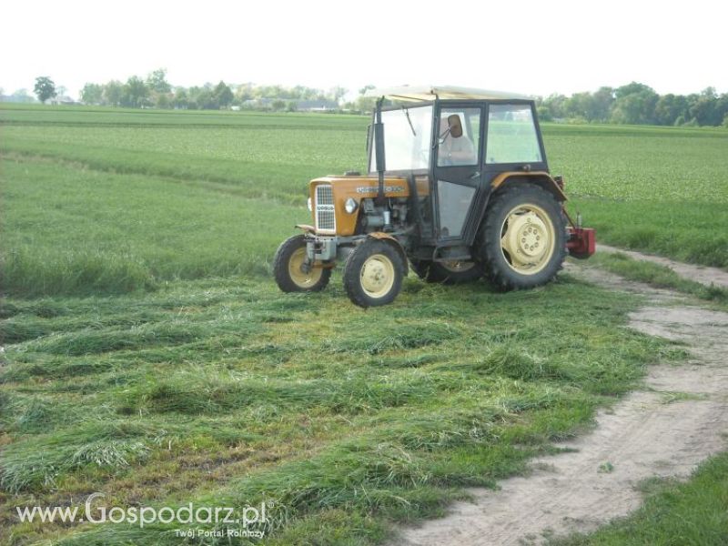 pierwsze sianokosy w roli głownej ursus c330M...