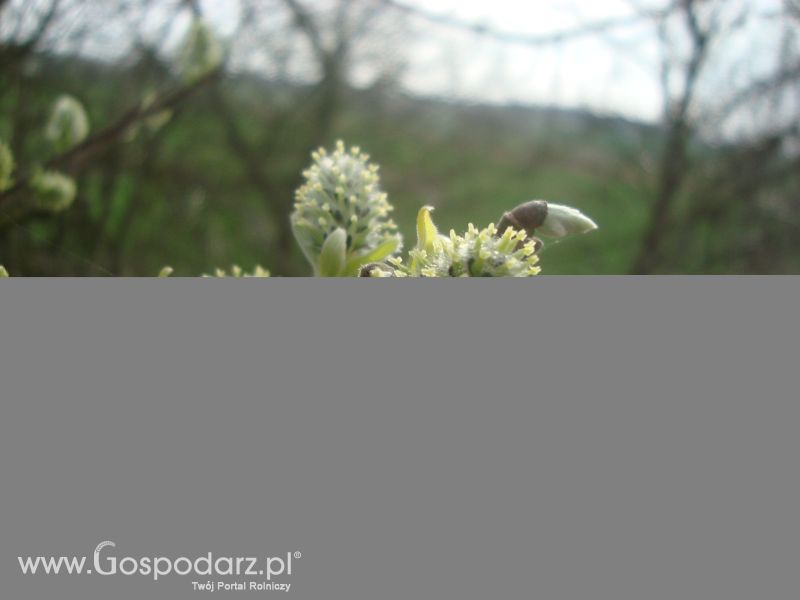 Moje zdjęcia