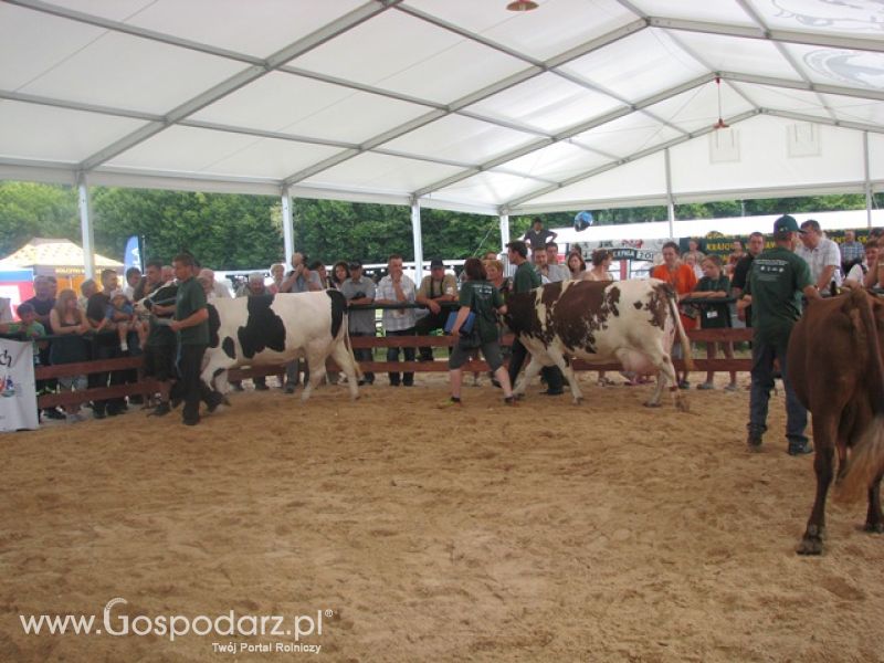 Krajowa Wystawa Ras Rodzimych Rudawka Rymanowska 2012 dzień 2