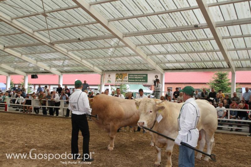 I Krajowa Wystawa Bydła Mięsnego w Sielinku - sobota