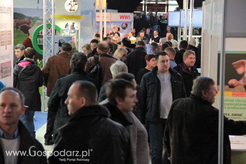 Targi FERMA 2014 - piątek