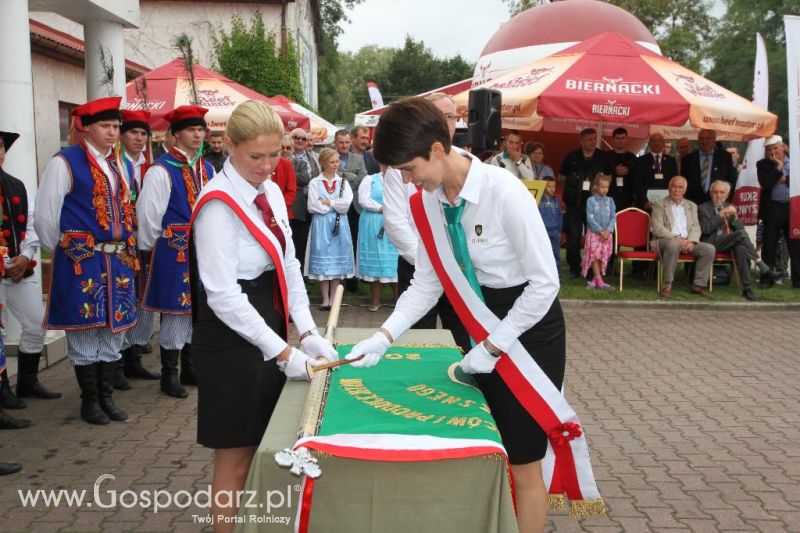 I Krajowa Wystawa Bydła Mięsnego w Sielinku - sobota