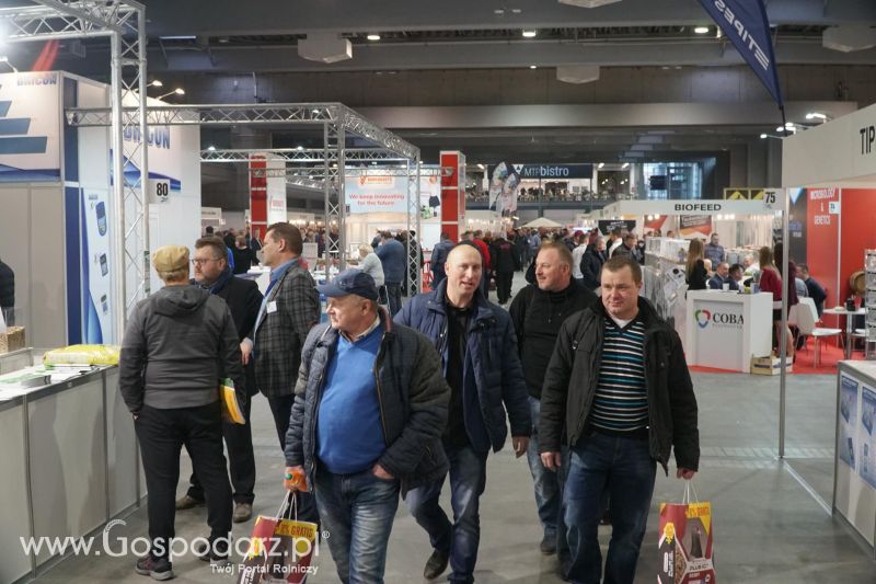 XXXVI Olimpiada Gołębi i Targi Gołębi Pocztowych i Akcesoriów otwarcie - dzień pierwszy