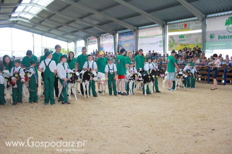 Młody Hodowca - Szepietowo 2013 XX Regionalna Wystawa Zwierząt Hodowlanych