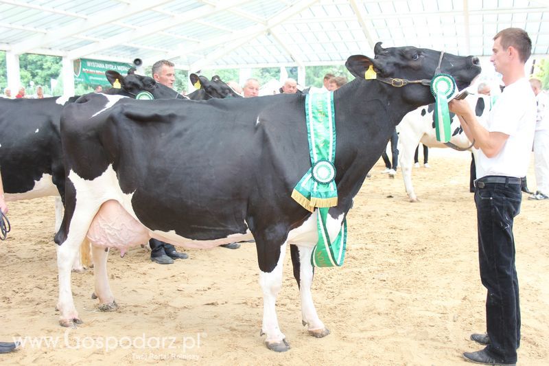 Czempioni XVII Regionalnej Wystawy Zwierząt Hodowlanych Sielinko 2011