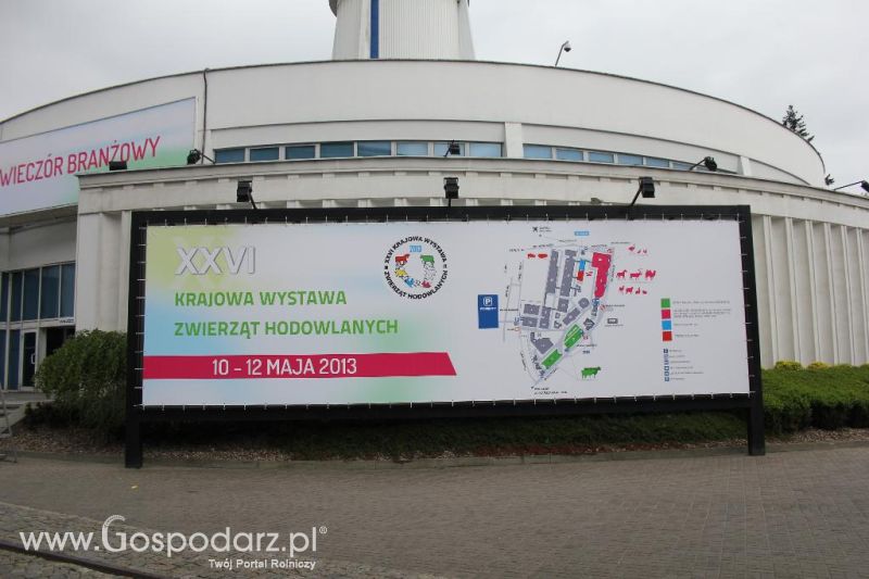 XXVI Krajowa Wystawa Zwierząt Hodowlanych - piątek