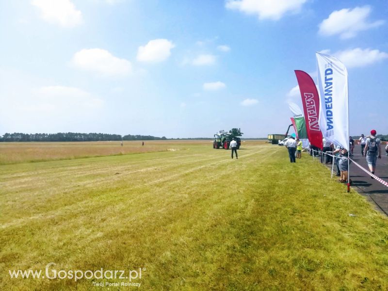 Opologra 2019