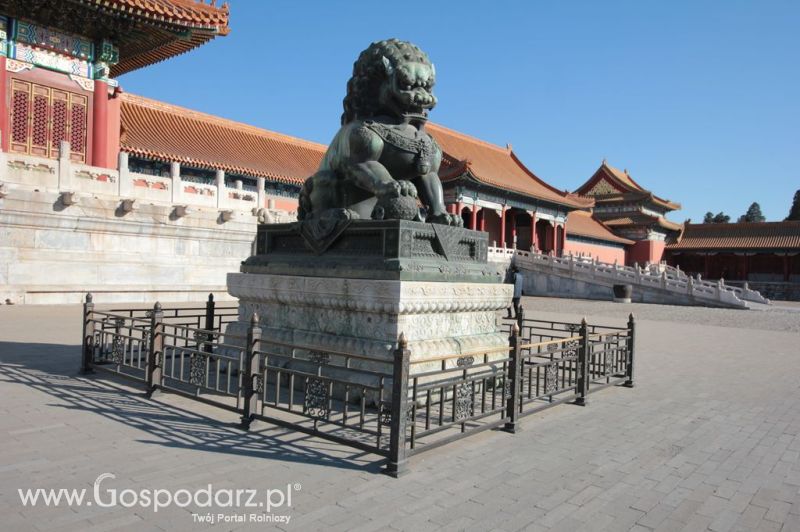 Gospodarz.pl w Chinach
