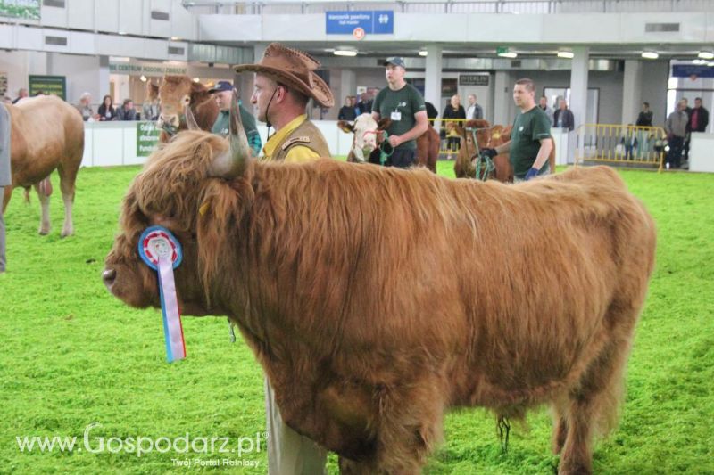 XXVI Krajowa Wystawa Zwierząt Hodowlanych - sobota i niedziela