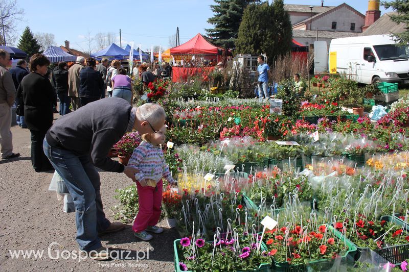 XX Agro-Targi 2011 w Starej Łubiance