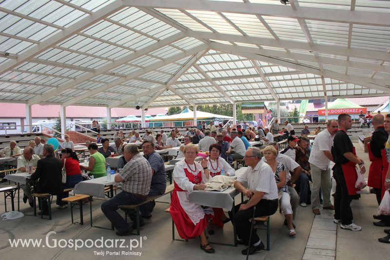 Ogólnopolski Festiwal Wieprzowiny w Sielinku