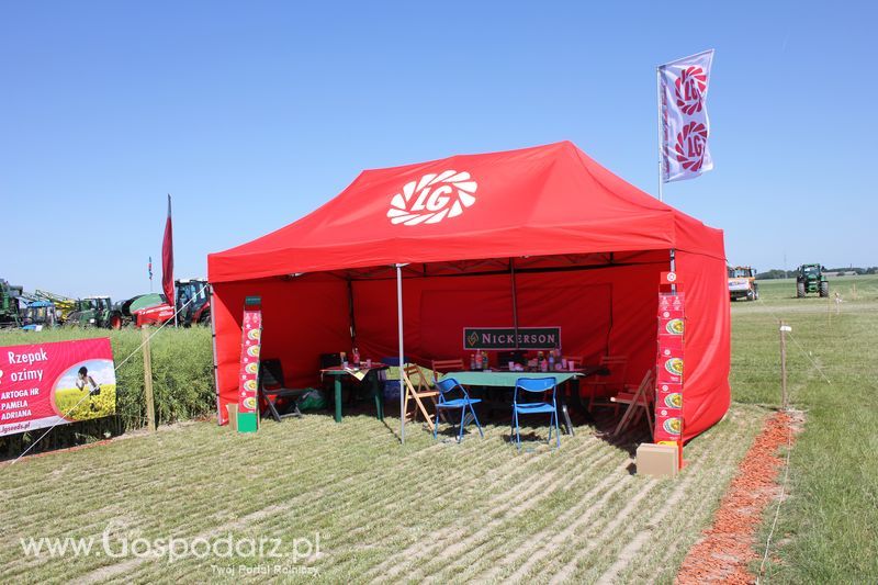 Polskie Zboża 2011 - Piątek 