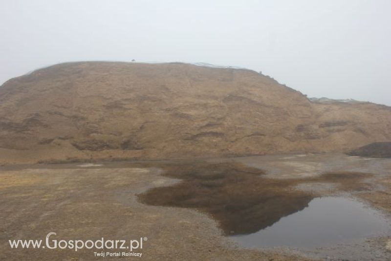 Wyjazd studyjny na farmę w Hohenhameln (Niemcy)