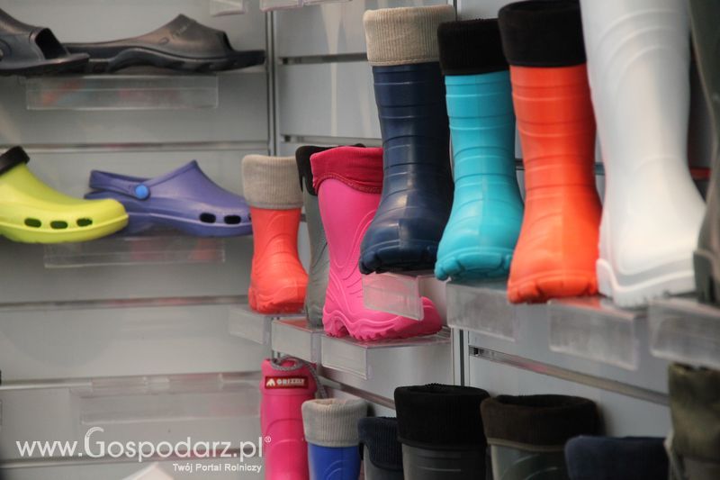 Targi AGROTECH w Kielcach (sobota, 19 marca 2016 r.)