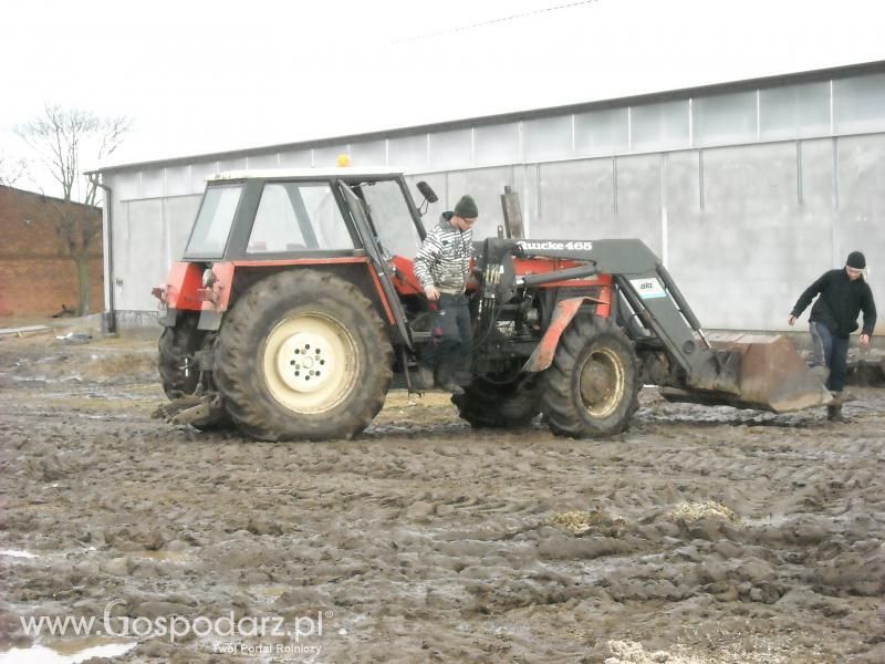 Dzień pracy rolnika-wizyta MrZgredy u MafiaOgiegooo