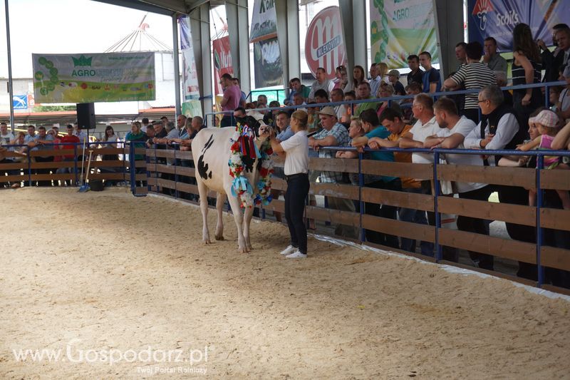 Wystawa zwierząt w Szepietowie