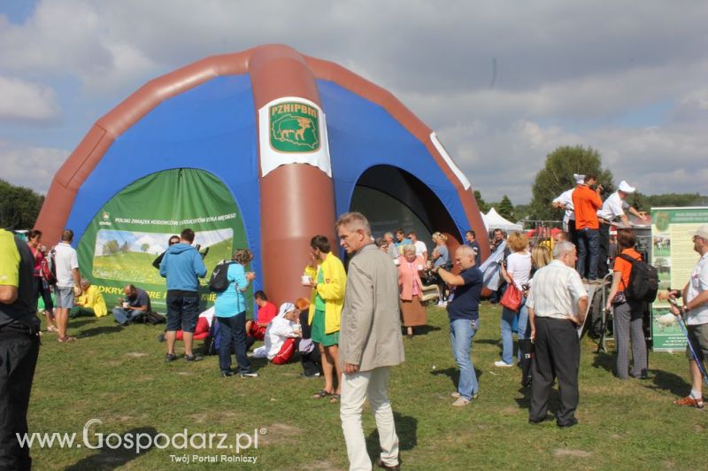 Świętomięs Polski w Chorzowie