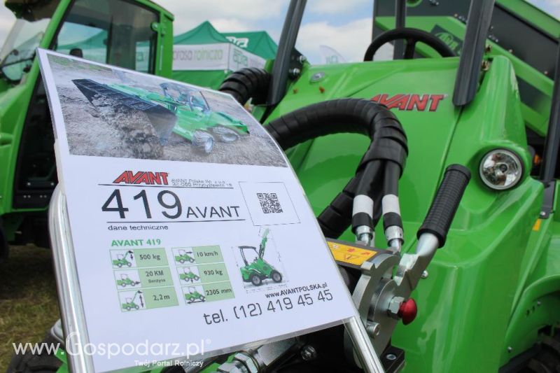 Serafin na Opolagrze 2013