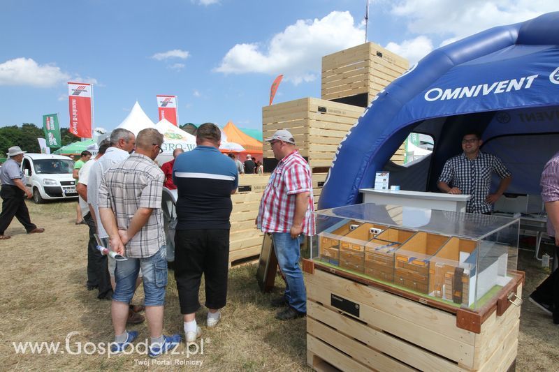 Omnivent na OPOLAGRZE 2015