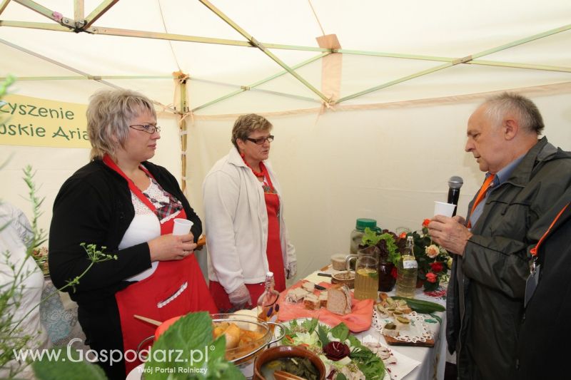Festiwal Wieprzowiny w Bełżycach - niedziela