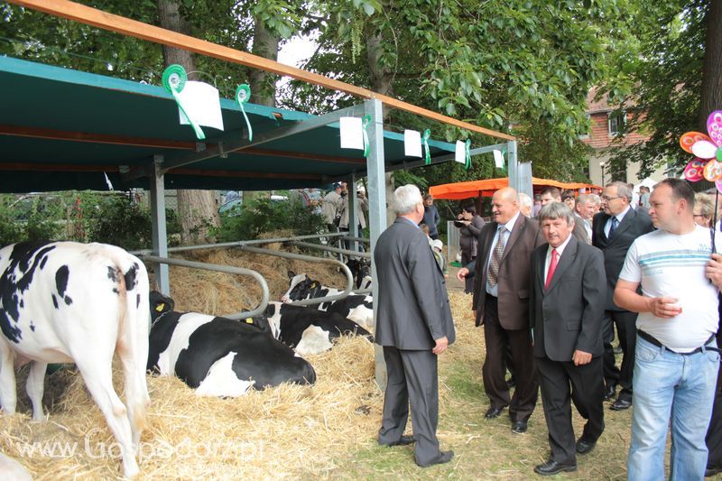  XX Targi Rolnicze Lubniewice