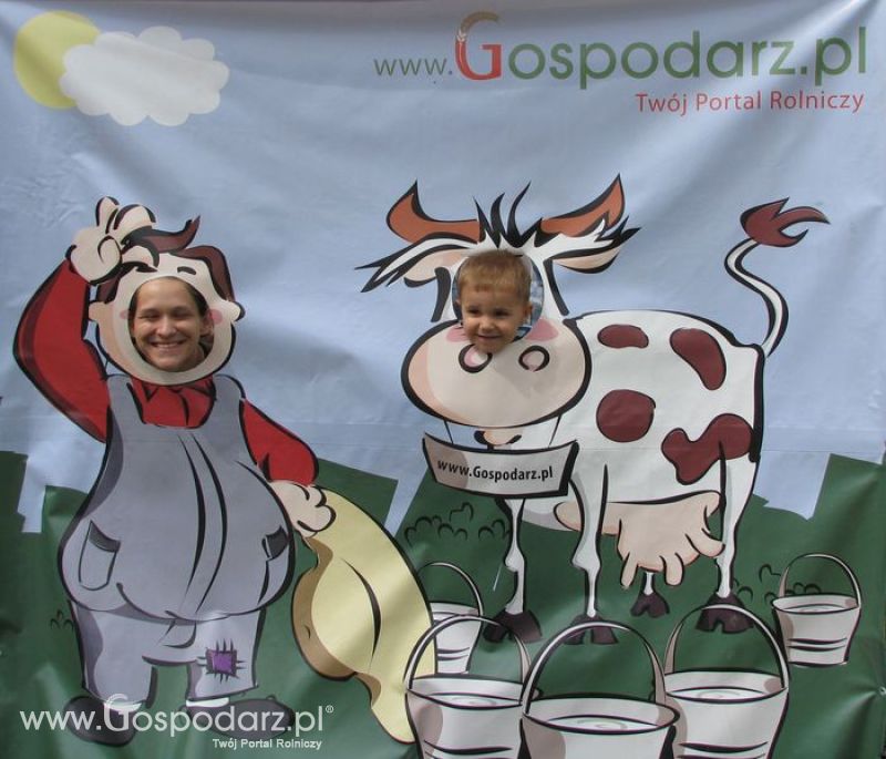 Wielkopolskie Targi Rolnicze „Sielinko 2011”  - Krówka Gospodarza