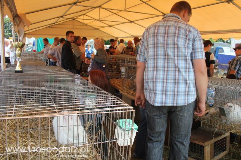 Regionalna Wystawa Zwierząt Hodowlanych i Dni z Doradztwem Rolniczym w Szepietowie-niedziela