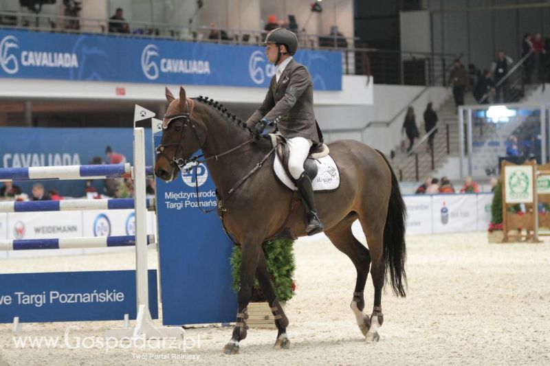CAVALIADA 2013 w Poznaniu