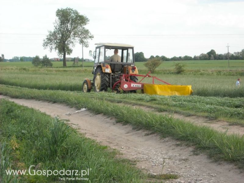 pierwsze sianokosy w roli głownej ursus c330M...