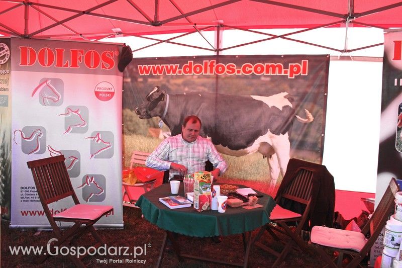 Dolfos na Agro Show w Bednarach