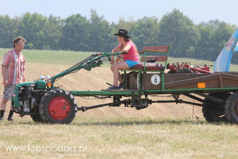 AGRO-TECH Minikowo 2014 - niedziela