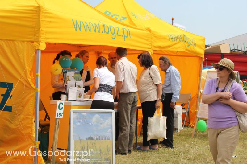 Bank BGŻ na Opolagra 2012