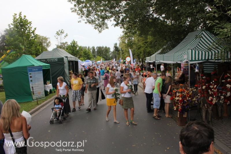 XIV Wojewódzko-Diecezjalne Dożynki Wielkopolskie w Ostrowie Wielkopolskim